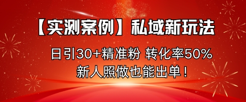 【实测案例】私域新玩法,日引30+精准粉,转化率50%,新人照做也能出单!-117资源网