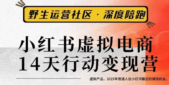 小红书虚拟电商14天变现训练营3.0，​虚拟产品，2025年普通人在小红书最后的搞钱机会-117资源网