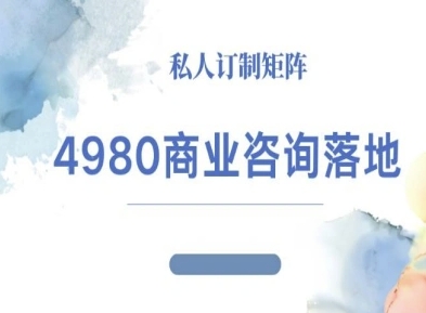 4980商业咨询师落地课程-ip运营高客单教程-117资源网
