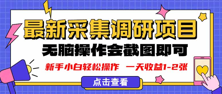 新版采集调研项目，截图上传即可，无脑操作，日收益1-2张-117资源网