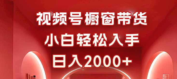视频号橱窗带货，小白轻松入手，日入2000+-117资源网