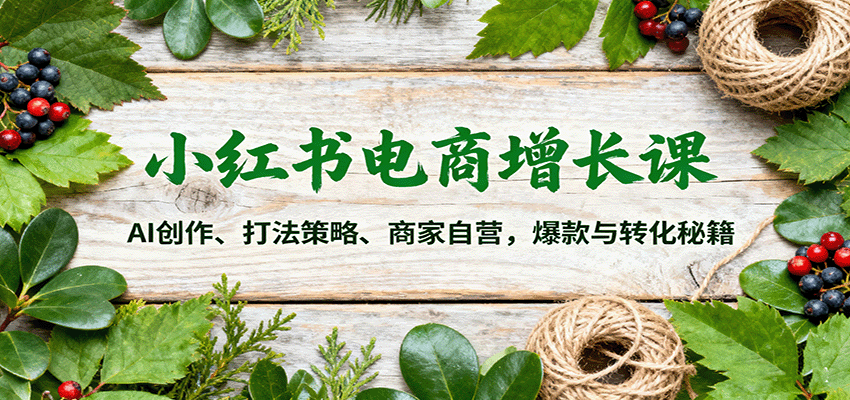 小红书电商增长课：AI创作、打法策略、商家自营，爆款与转化秘籍-117资源网