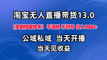 淘宝无人直播13.0，公域私域技术，不封号，不违规布局下半年旺季赛道，日入1K+(独家技术)【揭秘】-117资源网